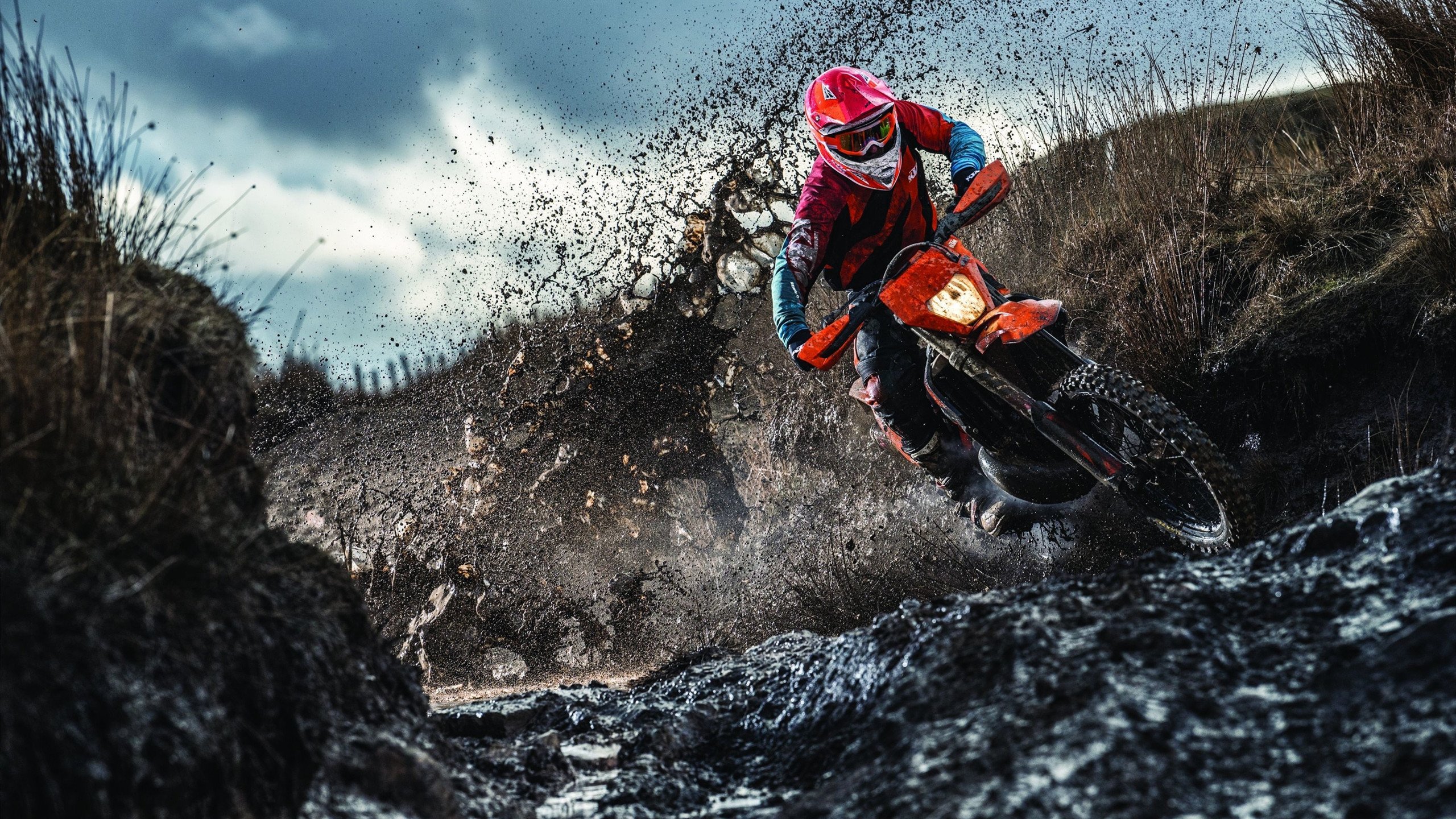 文班亚马爆发难救主，湖人全面压制正面击溃爵士